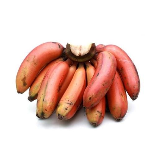 Red (Indian Banana)