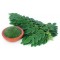 moringa leaves 250g