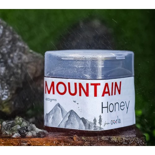 Mountain Wild Honey 400g